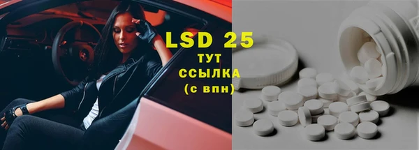 прущие грибы Алзамай