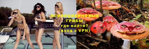 синтетический гашиш Алексин