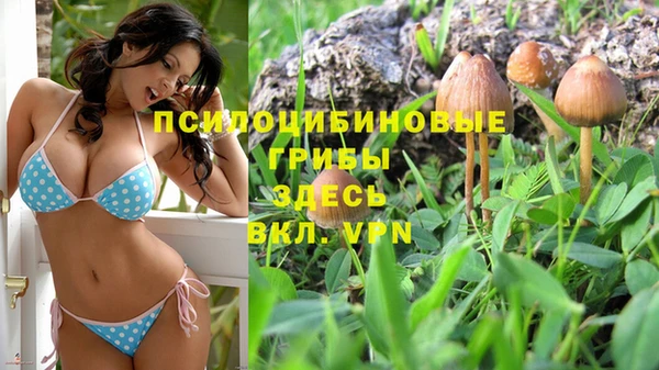 Альфа ПВП Алексеевка