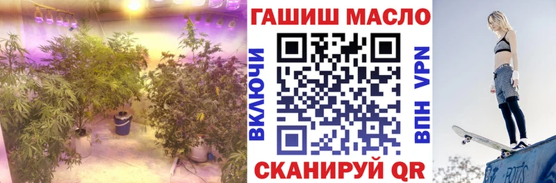 ТГК THC oil  Купить  Старица 